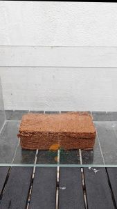 CocoBlock Cocopeat Block Brick Compressed Form Coconut Gardening 椰糠椰砖