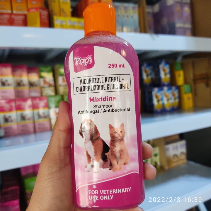 Antifungal dog shampoo for hot sale ringworm