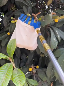 🥭6in1🥭 ไม้สอยยืดหดได้ 3/5/7/10M ด้ามสไลด์ ด้ามต่อยืดได้ วัสดุสแตนเลสคุณภาพสูง ที่สอยผลไม้ ที่สอยมะม่วง ไม้สอยผลไม้ สอยผลไม้สูง มีดพก เลื่อย ไม้ยืดได้หดได้ ผ้าสำหรับสอยเก็บผลไม้ ครบชุดที่จะช่วยคุณลูกค้าแก้ปัญหาการเก็บผลไม้บนที่สูงค่ะ