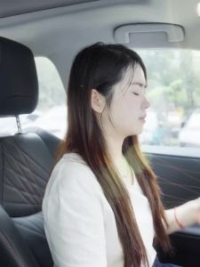 Eary Car Clip Fan 30000mAh Rechargeable Dual-Core Turbo Sun Visor Fan 5 Speeds 360° Powerful Air Cooler Quiet Portable Auto Fans