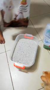 10L Marie Premium Bentonite Cat Litter Sand Pet Needs Essentials Fast Clumping Odor Eliminator