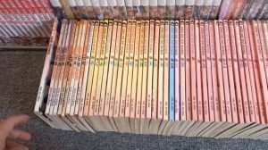 Truyện Hoàng Phi Hồng Cậu Bé Vô Song Full Bộ 59 Tập - Tác giả Takeshi Maekaw