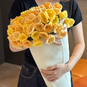 Crochet Rose Blanket DIY Kit