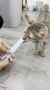 YTL ขนมเเมวเลีย 16g มีให้เลือก5รส cat snack stick 16g อาหารแมว cat ขนมแมวเลีย แมวเลีย อาหารแมวเลีย ขนมแมวเลีย