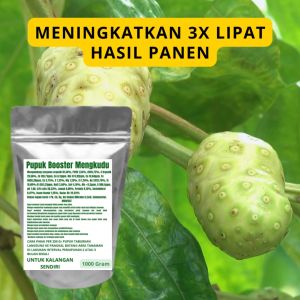 Pupuk Booster Mengkudu Pelebat Organik Cepat Berbuah Lebat Besar Anti Rontok Pembesar Mengkudu