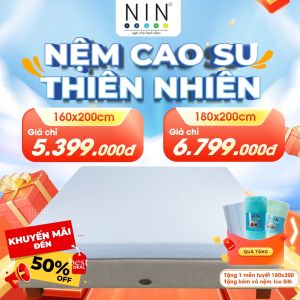 Nệm cao su thiên nhiên Thông thoáng 7 vùng cơ thể nhiều kích thước
