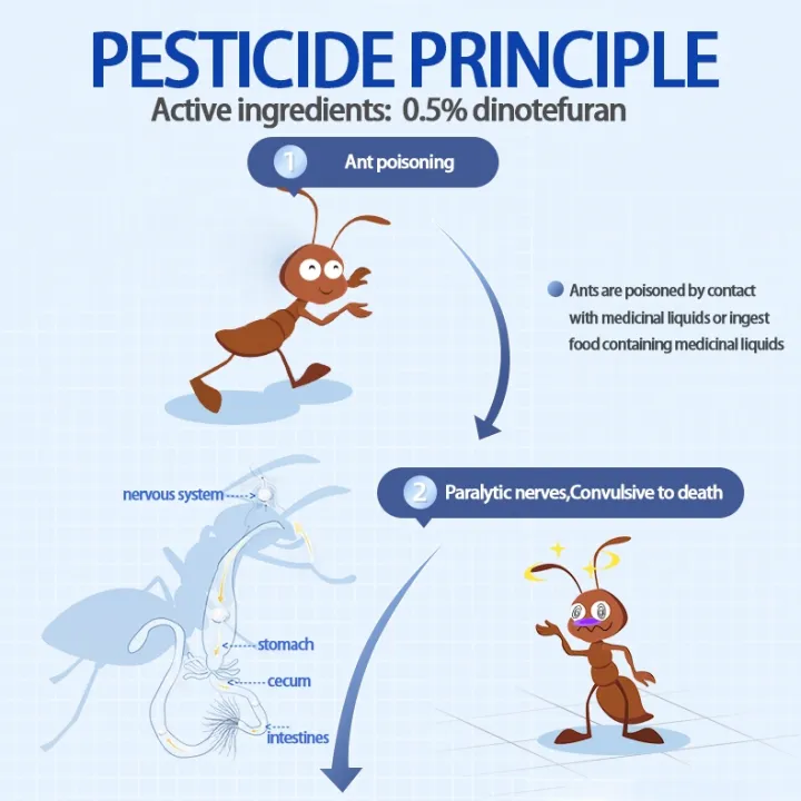 %F0%9F%90%9B10%20years%20without%20termites%F0%9F%90%9Bants%20spray%20killer%20500ML%20Kill%20termites%20ant%20killer%20insecticide%20termite%20killer%20pest%20control%20Non-Toxic%20One%20Spray%20Will%20Kill%20Ants%20Termites%20Red%20Ants%20Species%20Spray%20Ant%20Repellent%20Ant%20Bait%20Killing%20Termite%20Insect%20Repellent%20-%20Image%207