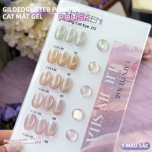 Bộ Sơn Móng Tay Gel Mắt Mèo Pha Lê Mạ Vàng Vendeeni 5 Màu/bộ Có Hiệu Ứng Từ Tính Sử Dụng Đèn UV/LED Kèm Bột Nhũ Thân Thiện Với Môi Trường Bền Lâu
