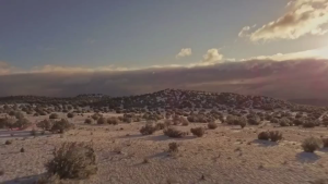 [SKIN1004] Madagascar Centella Tone Brightening Capsule Ampoule EXP:2027