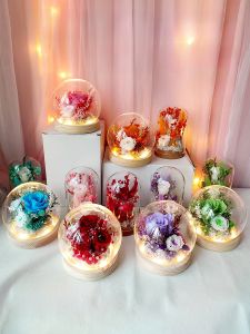 Handmade Rose Glowing Dry Flower Decoration Material Kit Eternal Flower Glass Cover Solar Powered Home Decor Gift for Goddess Day