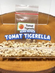 Benih Tomat Tigerella Unggulan Berkualitas