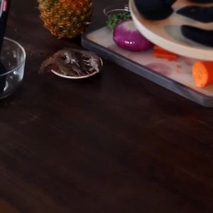 MOCHA COOKING UTENSIL / ALAT SET MASAK / ALAT MASAK SHENAR