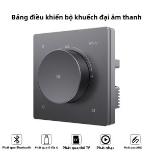 Bộ Khuếch Đại Âm Thanh Mini Gắn Tường Loại 86 Tích Hợp Bluetooth Hỗ Trợ Thẻ TF AUX Điều Khiển Âm Thanh Cho Hệ Thống Rạp Hát Gia Đình Loa Âm Trần Bảng Điều Khiển Nhạc