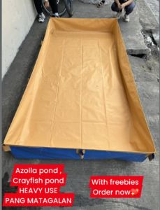 AZOLLA POND/BED PVC TYPE TRAPAL FOR CRAYFISH AZOLLA KOI FISH no LEAK TARPAULIN FOR TEMPORARY USE FOR AFFORDABLE PRICE.