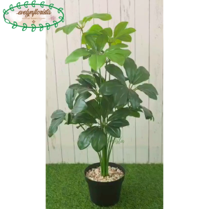 Pohon Imitasi Daun Artificial Daun Walisongo X12 Semi Latex Pot Hitam Dekorasi Kantor Pajangan Ruang Tamu