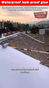 Durable for 50 years Water-Based Polyurethane Waterproof Coating leaking glue Waterproof Glue Exterior Wall Roof Leak Repair Eco-friendly Material 防水涂料