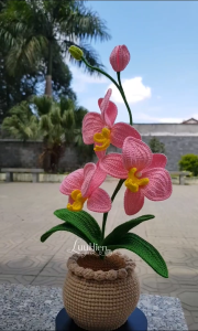 Chậu hoa móc len handmade chậu lan hồ điệp– quà tặng decor để bàn xinh xắn | LuuHienYarn