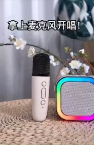 K12 Music Speaker KTV & Mic Wireless Bluetooth 5.0 Clear Sound Mode