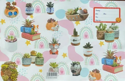 ( 10 Cái ) Bao Tập Vở Loại Hình Có Kiếng Trong