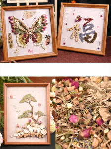 AIERLISHA | Chinese Herbal Specimen DIY Handicraft Ornament Kit Educational