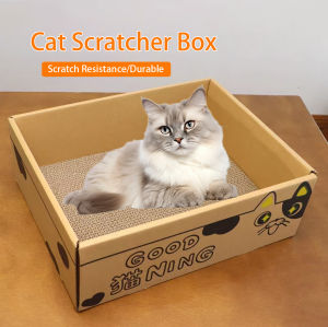 2in1 Cat Box Scratch-resistant Corrugated Cat Play Sleeping Box Cardboard Box Cat Toys Multifunctional Four Seasons