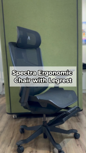 Spectra Ergonomic Office Chair With Legrest ★ Home Office Chair ★ Gaming Chair ★ Comfortable Lumbar Support ★ Easy Self Setup