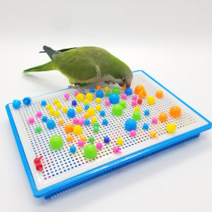 Parrot Toys Mushroom Nail Toy Plate Bite Relieving Stuffy Molars Foraging Puzzle Artificial Training Props for Xuanfeng