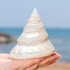 Glowing Conch Shell Tower Decoration
