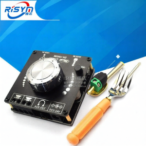 Risym | Multi-Source Input Digital Amplifier Board 200W
