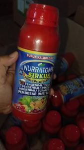 Pengusir Hama Tikus Padi paling Ampuh Nurratonix Sirkus Obat Pembasmi Hama Tikus Di Sawah