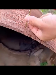 【24 Hours Delivery】Steel Nail Gun Rivet Gun Bullet Nail Gun Concrete Fire Nail Gun Ceiling Round Nail 25mm NailsSteel Nails Guns Rivet Tool Wall Fastener Set Nails Suitable for 7.3mm   Industrial Nail Gun