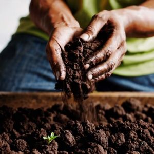 2.5KG 4L 4 IN 1 Tanah Baja Organik Organic Planting Soil Vegetable Sayur Flower Bunga Pokok Plant