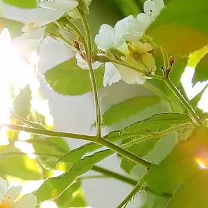Thảm dã ngoại đi du lịch phụ kiện chụp ảnh lookbook quay video - Happy Life 4U