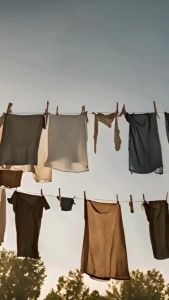 Real Clean Parfum Laundry PREMIUM Grade A 500 ML ISI 2 PCS Fabric Spray Antibacterial