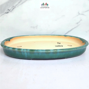 The Leaferie Bonsai plant pots (Series 71) Oval Ceramic flowerpot flowerpots flower pot planter planters