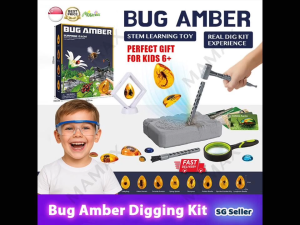 【SG Ready Stock】Bug Amber Dig Kit for Kids★STEM Science Excavation Toy✅Educational Amber Insect Discovery Set✅Perfect Gift✅Christmas/Birthday Gift/Presents✅
