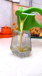 Juicer Manual Juicer Freshly Squeezed Fruit Squeezer Instant Fruit juicer Squeezer Portable Juice Extractor Lemon Juicer