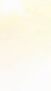 Hayaidesu Yamaha New AEROX 2021-2024: Cover Leher Radiator