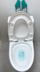 【ความเข้มข้นอันทรงพลัง】น้ำยาทำความสะอาดห้องน้ำ น้ำยาทำความสะอาดโถสุขภัณฑ์ ไม่ต้องขัด ฆ่าเชื้อ 99% คราบตะกรัน ขจัดคราบ 1 ขวด 500ML