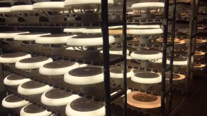 พัดลมเพดาน LED ดีไซน์ทันสมัย ปรับความเร็วได้ 3 ระดับ หรี่แสงได้เงียบ ไม่มีเสียง สำหรับห้องนั่งเล่น ห้องนอน ทางเดิน (รีโมตคอนโทรลฟรี)