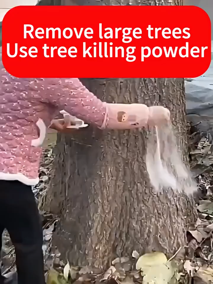 【Japan Tech】Tree Killer 500g Herbicide Grass Killer For Trees Grass Bamboo Grass Killer Powder Emove Large Trees Easily