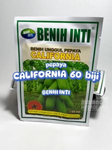 Benih Pepaya California 60 biji Benih Inti dataran rendah menengah unggul bibit biji buah kalifornia putri bogor hydroponik hidroponik