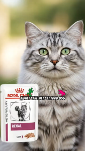 Royal Canin Veterinary Diet Renal Adult Cat Wet Food 85g Loaf Pouch | Premium Kidney Care Cat Food for Chronic Kidney Disease CKD Management | Low Phosphorus High Quality Moderate Protein for Feline Appetite Stimulation [New Stock]