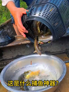 【Familiars】 ตาข่ายดักปลา มุ้งดักปลา ที่ดักกุ้ง กระชังดักปลา ลอบดักปลา พับเก็บได้ ส่งเหยื่อ