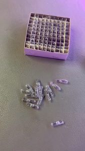 Hộp 100 bóng min tép 12v 24v bóng táp lô cho xe ô tô