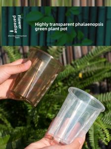 High Transparent Mountain View Root-Controlling Phalaenopsis Flower Pot Plastic Breathable Cut Out Hot Green Plant Philodendron Pot For Home Large