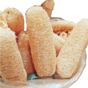 sikat gambas kering - sponge loofah vegatable - sikat cucian alami - sikat gambas