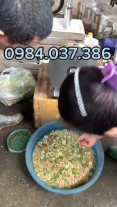 Máy thái hành tỏi xả rau củ quả đa năng chạy điện