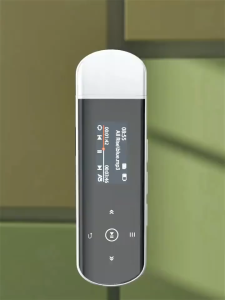 COD RUIZU MP3 Player Musik Bluetooth 5.0 Sport Pedometer 2in1 Flashdisk - X69