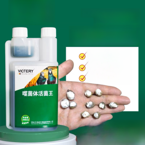 Beer Yeast Powder Pigeon Health Care Live Bacteria King Racing Pigeon Parrot Nutrition Protein Amino Acids Phosphorus Calcium Powder